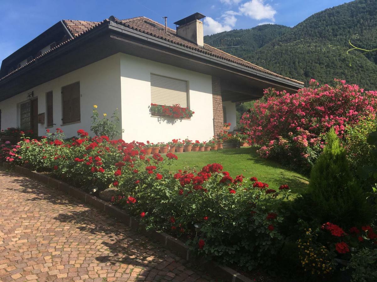 Weingut Zundlhof Villa Болзано Екстериор снимка